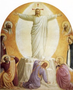 08angelico trasfigurazionet